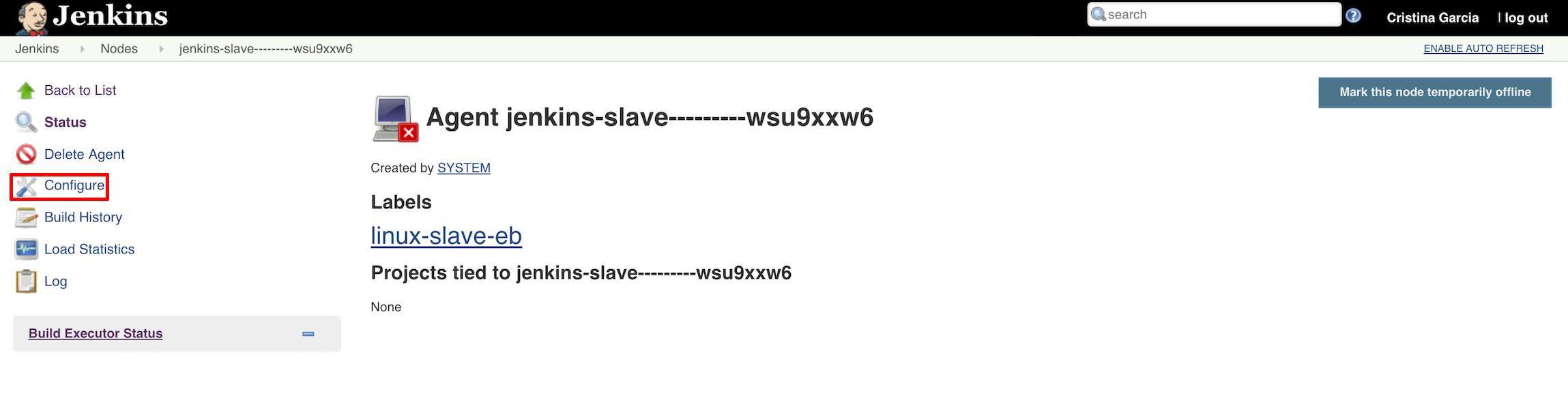 jenkins-slave-info