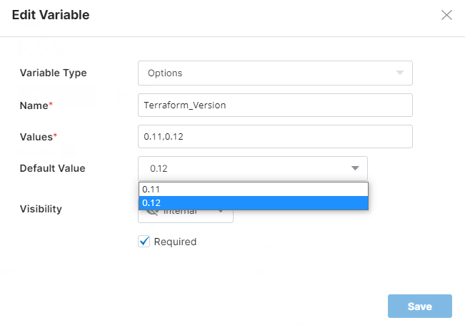 Terraform version variables